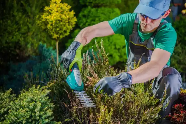 landscaping services Moss Bluff